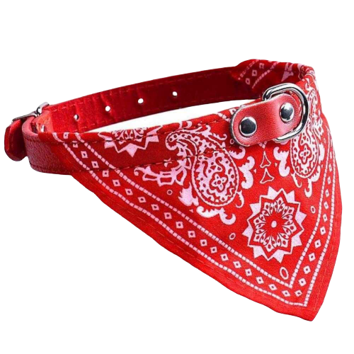 Collier de gangster pour chien - bleublancbeauf.com