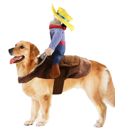 Selle pour animal de compagnie - bleublancbeauf.com