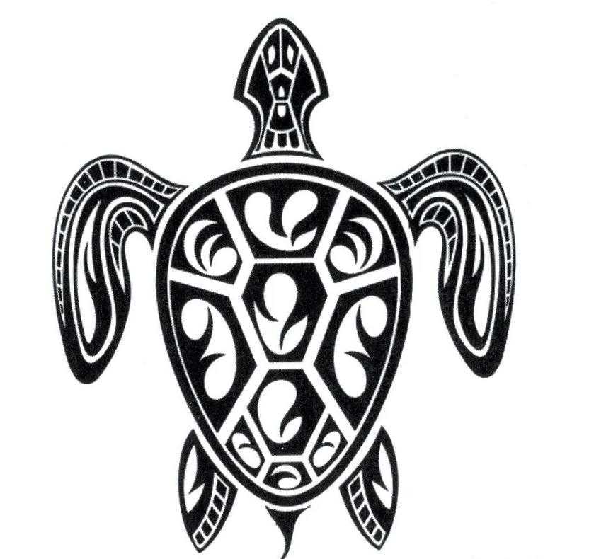 Tatouage éphémère tortue - bleublancbeauf.com