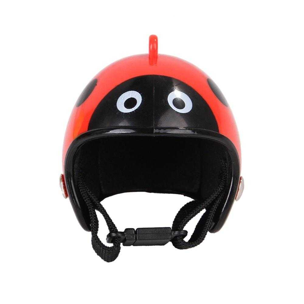 Casque de moto pour poule - bleublancbeauf.com