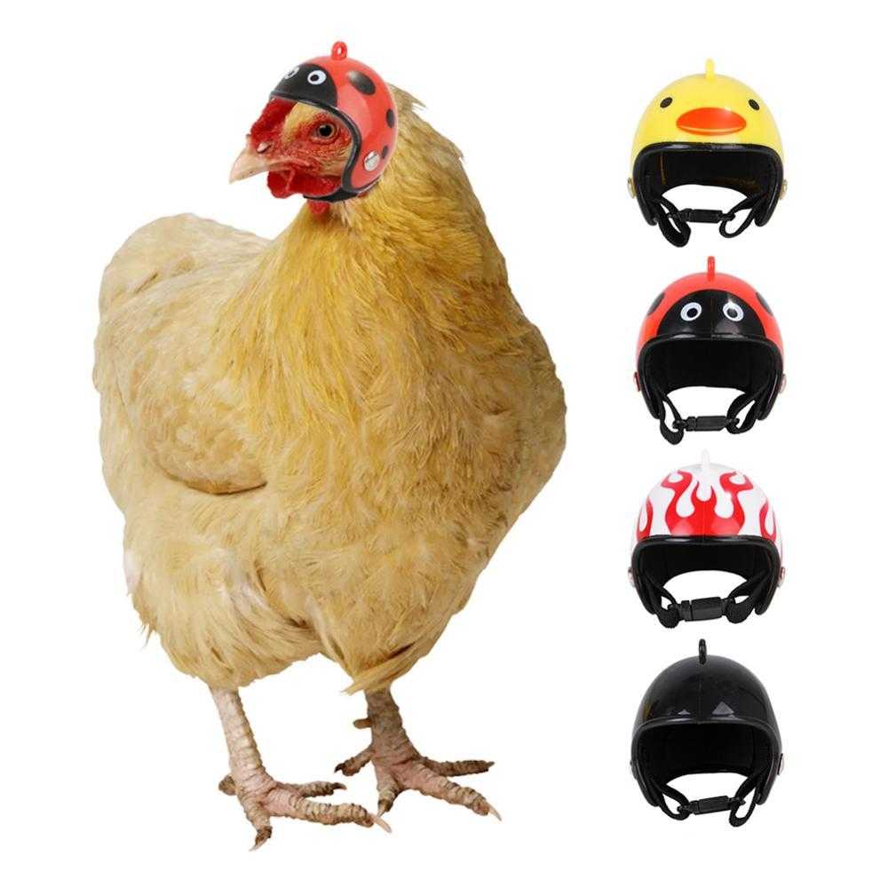 Casque de moto pour poule - bleublancbeauf.com