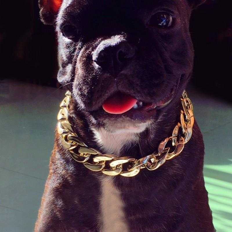 Chaîne en or pour chien - bleublancbeauf.com