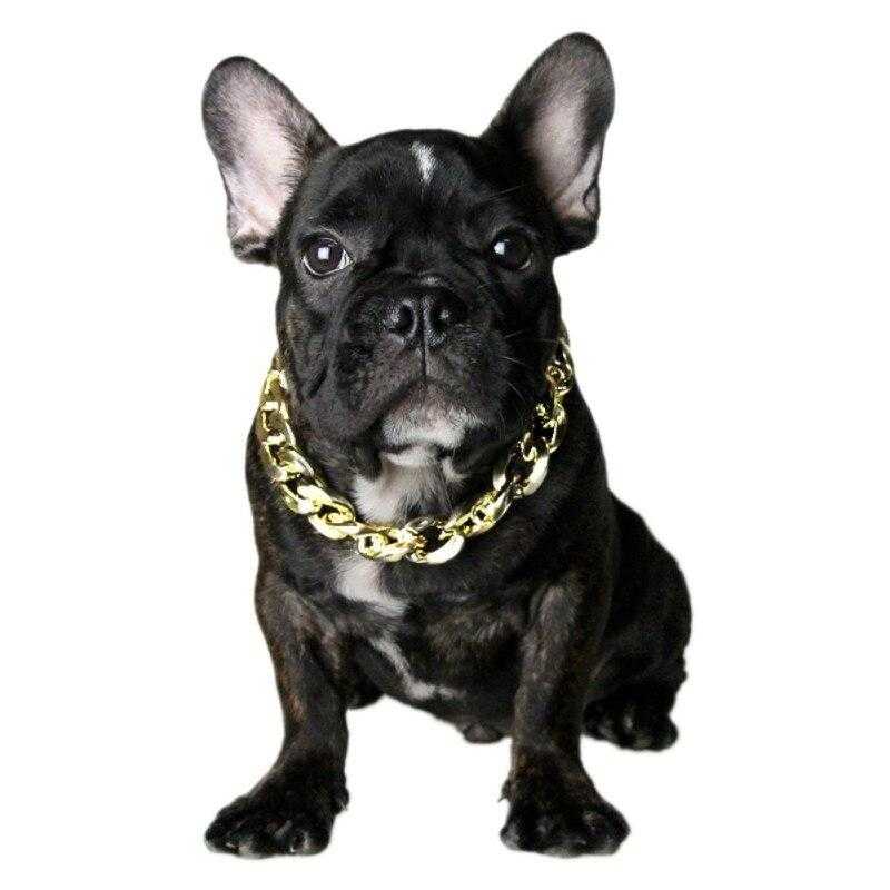Chaîne en or pour chien - bleublancbeauf.com
