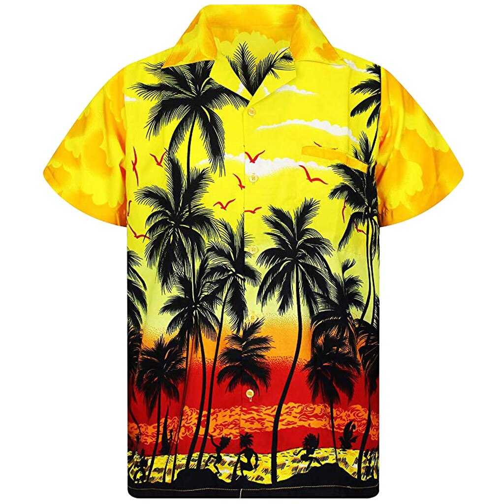 Chemise californienne - bleublancbeauf.com