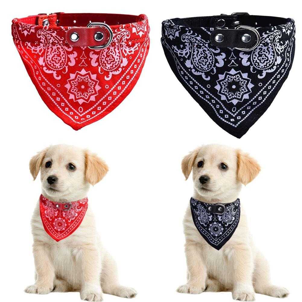 Collier de gangster pour chien - bleublancbeauf.com
