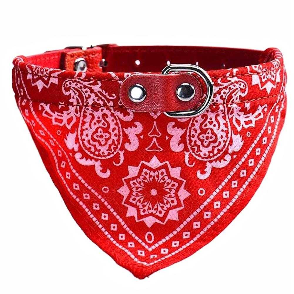 Collier de gangster pour chien - bleublancbeauf.com