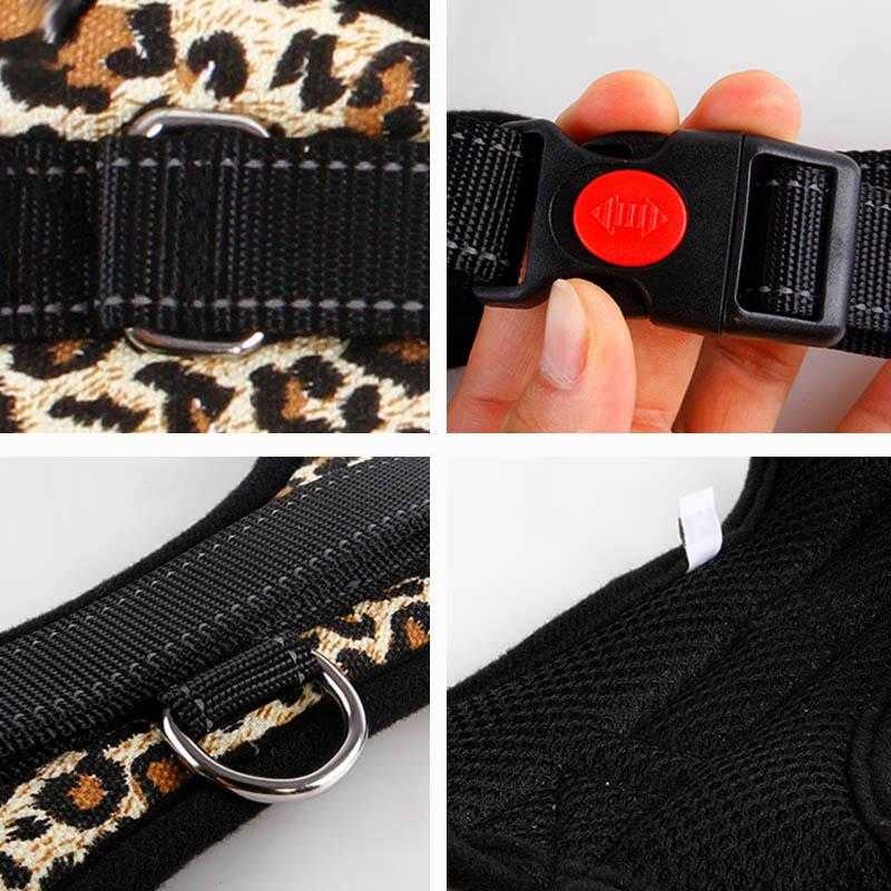 Laisse américaine pour chien - bleublancbeauf.com