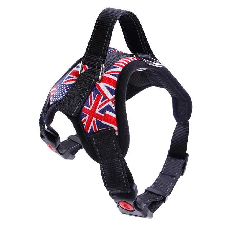 Laisse américaine pour chien - bleublancbeauf.com