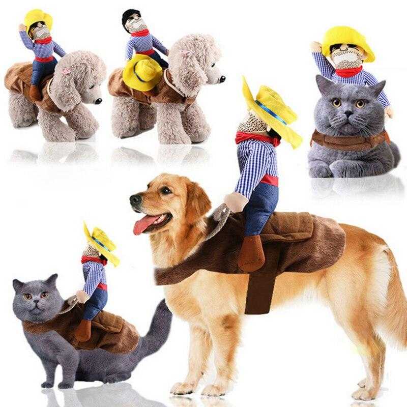 Selle pour animal de compagnie - bleublancbeauf.com