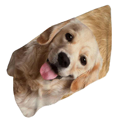 Serviette de plage chien - bleublancbeauf.com