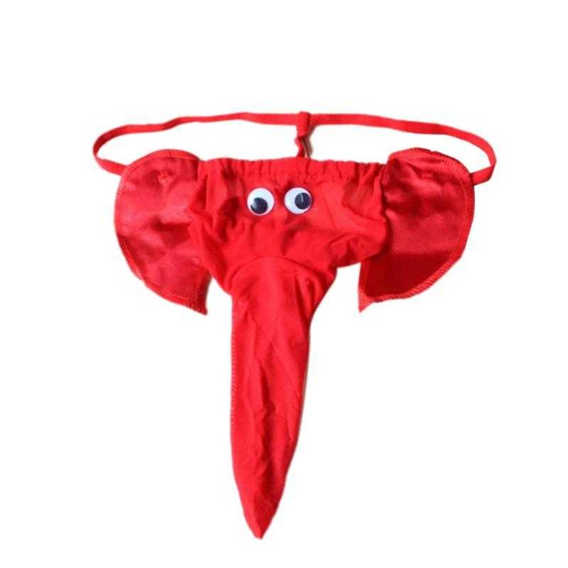 Slip trompe éléphant - bleublancbeauf.com