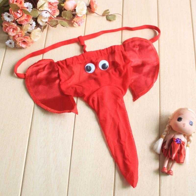 Slip trompe éléphant - bleublancbeauf.com