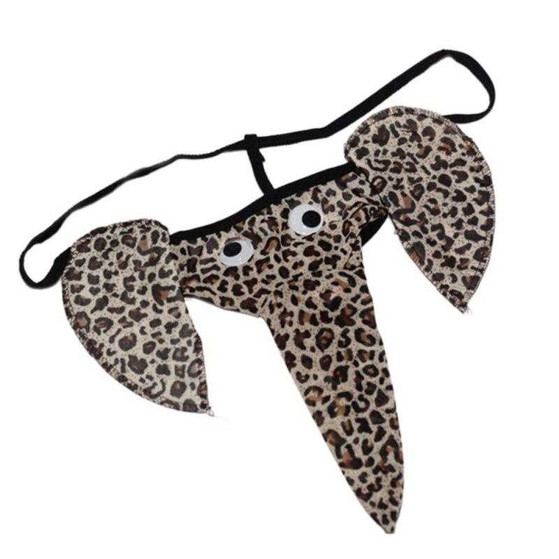 Slip trompe éléphant - bleublancbeauf.com