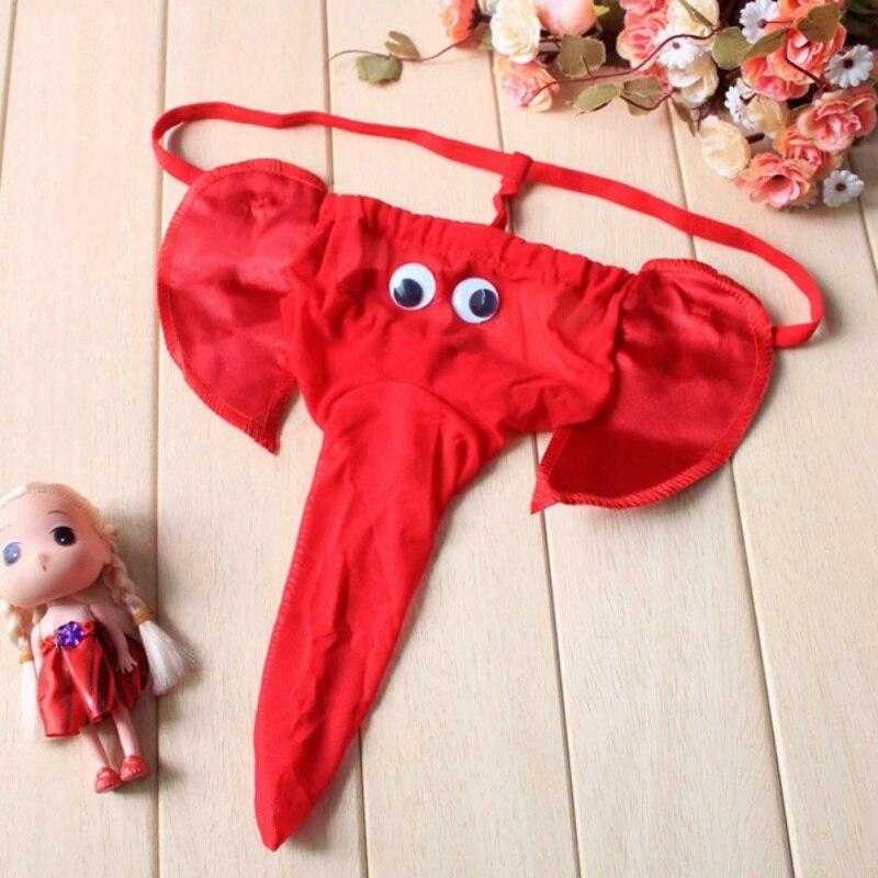 Slip trompe éléphant - bleublancbeauf.com