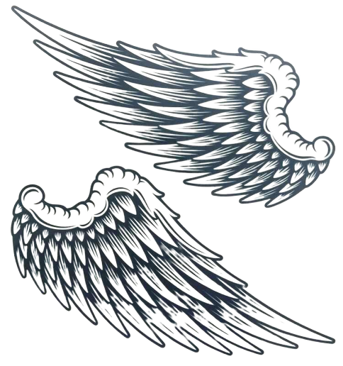 Tatouage éphémère aile d'aigle - bleublancbeauf.com