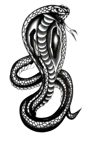 Tatouage éphémère cobra - bleublancbeauf.com
