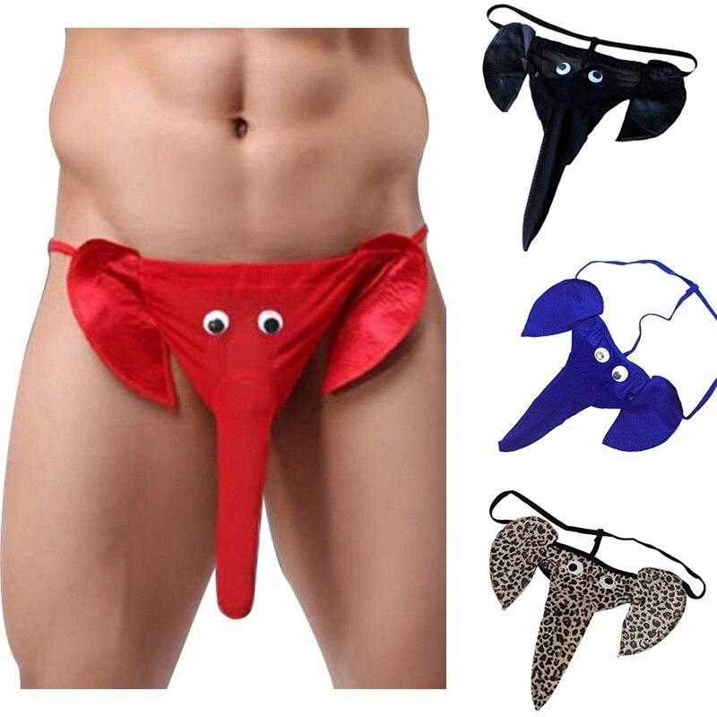 Slip trompe éléphant - bleublancbeauf.com