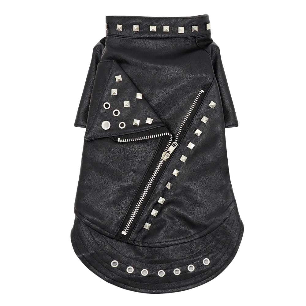 Veste de rockeur pour chat - bleublancbeauf.com