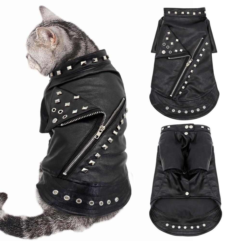 Veste de rockeur pour chat - bleublancbeauf.com