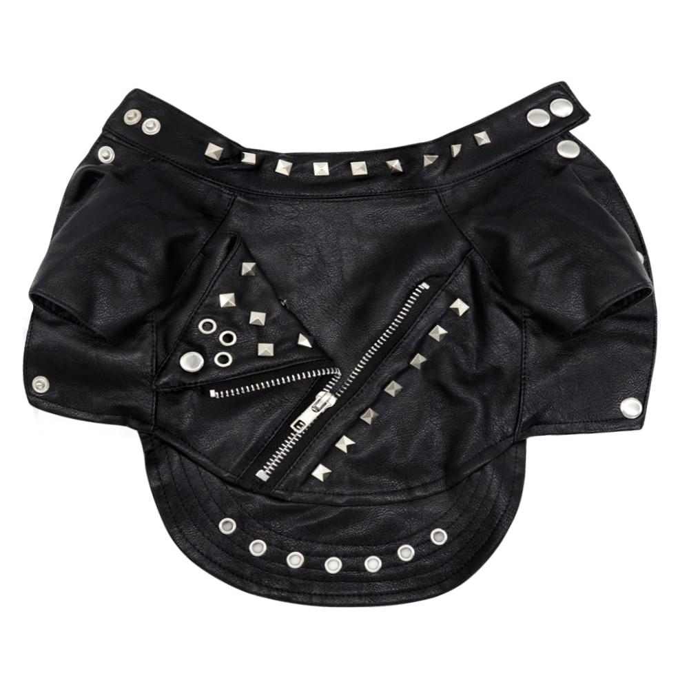 Veste de rockeur pour chat - bleublancbeauf.com